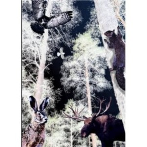 NARCISSUS notes gee night B5/80k