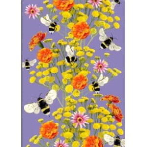 NARCISSUS notes gee Bzzz B5/80k