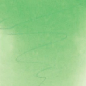 Farba akwarelowa Białe Noce w kostce 2,5ml 747 warm green