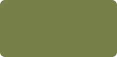 ZIG KURECOLOR 545 olive green