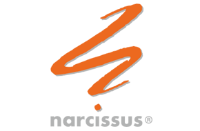 NARCISSUS